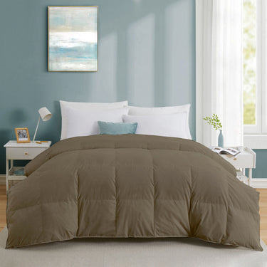 Light Warmth 300 GSM Comforter โ Perfect for Mild Weather (beige)