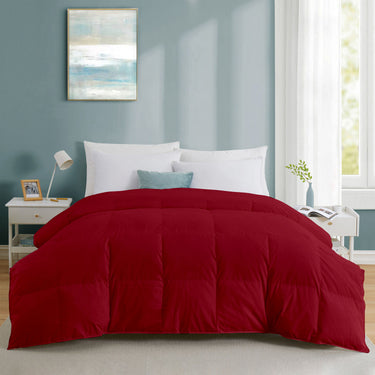 Luxury Soft 300 GSM Comforter โ Best Affordable Bedding for Mild Winter (burgundy)