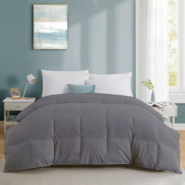 Premium Affordable 300 GSM Comforter – Cozy Comfort for Mild Winter (bed silver)