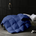 Durable 500 GSM Comforter – Premium Winter Quilt (medium blue)