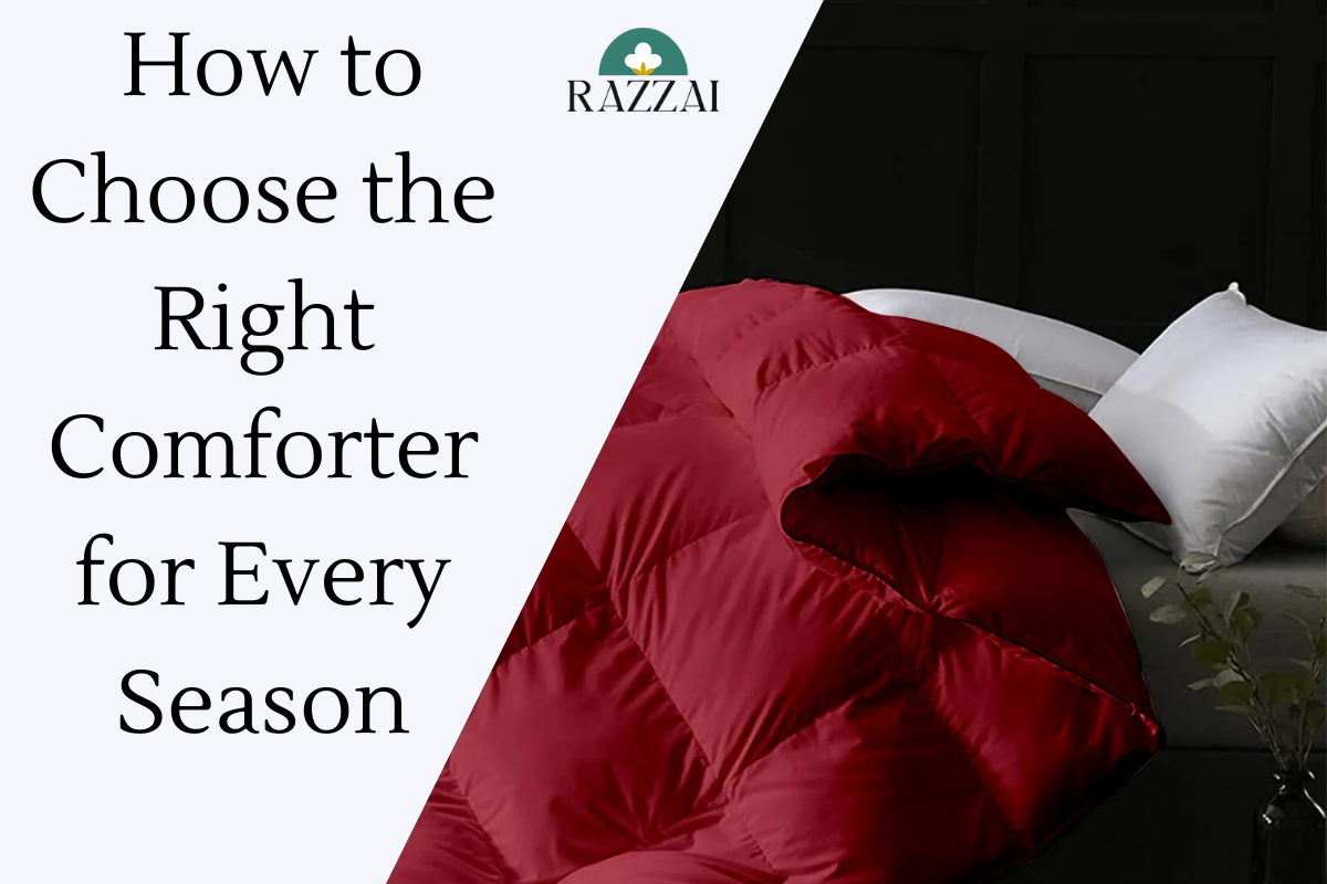 Creating a Cozy Sanctuary: How to Choose the Right Comforter for Every Season