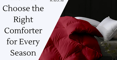 Creating a Cozy Sanctuary: How to Choose the Right Comforter for Every Season