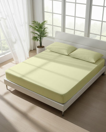 Ivory Cotton Fitted Bedsheet with 2 Pillow Covers