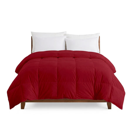 All Season Comforter