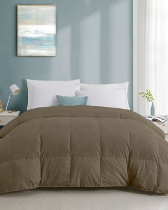  Light Warmth 300 GSM Comforter – Perfect for Mild Weather (beige)