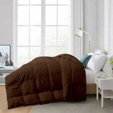 300 GSM All Weather Comforter |Chocolate Brown |Microfiber, lightweight|
