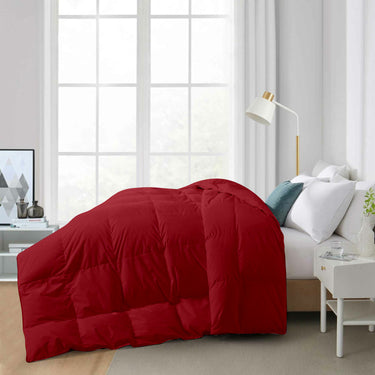300 GSM All Weather Comforter |Burgundy | Microfiber & lightweight|