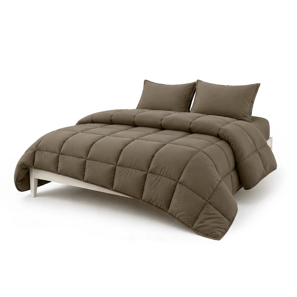 All Season Comforter