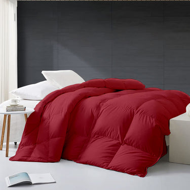 Winter Blanket for Double Bed 