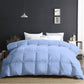 Razzai 500 GSM Winter Comforter Premium Collection Quilted Comforter |SkyBlue| Microfiber Comforter, Lightweight