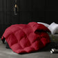 Razzai 500 GSM Winter Comforter Premium Collection Quilted Comforter|Silver| Microfibre, lightweight