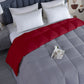Razzai Down Alternative Soft Quilted 300 GSM All Weather Comforter |Silver/Burgundy