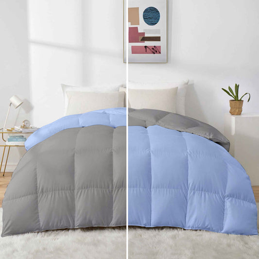 Razzai - 500 GSM Soft Hotel Quality-Down Alternative Reversible Comforter/Microfiber Quilt Blanket |Silver/Sky Blue